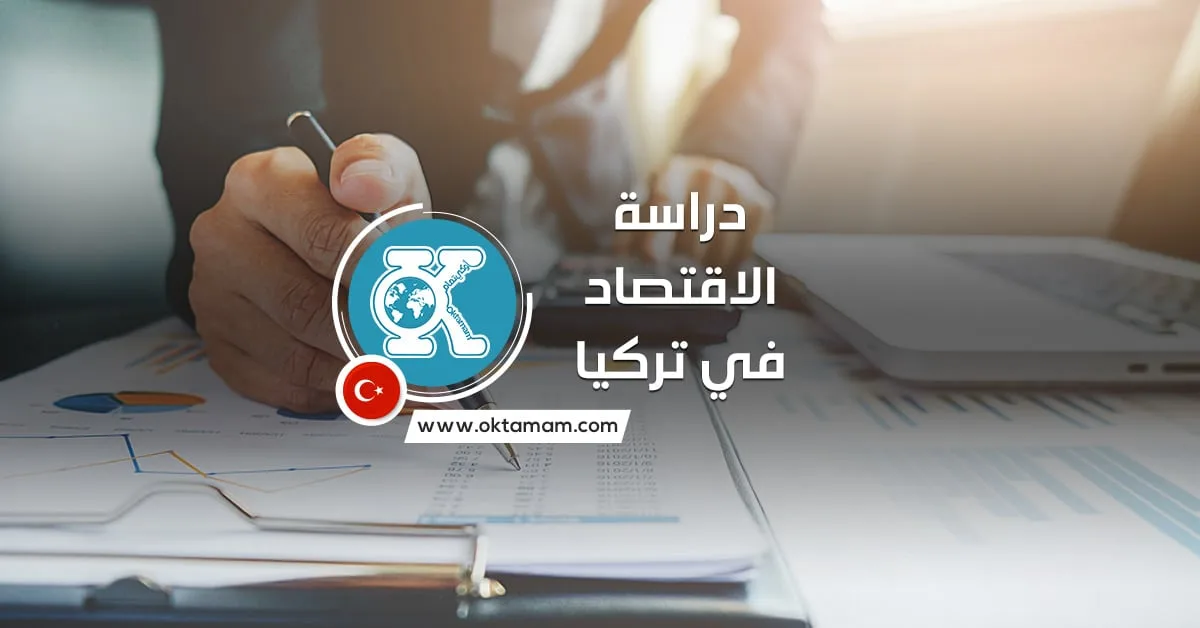 دراسة الاقتصاد في تركيا