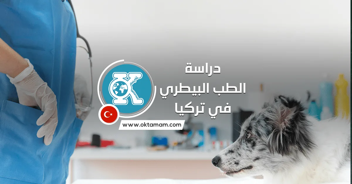 دراسة الطب البيطري في تركيا