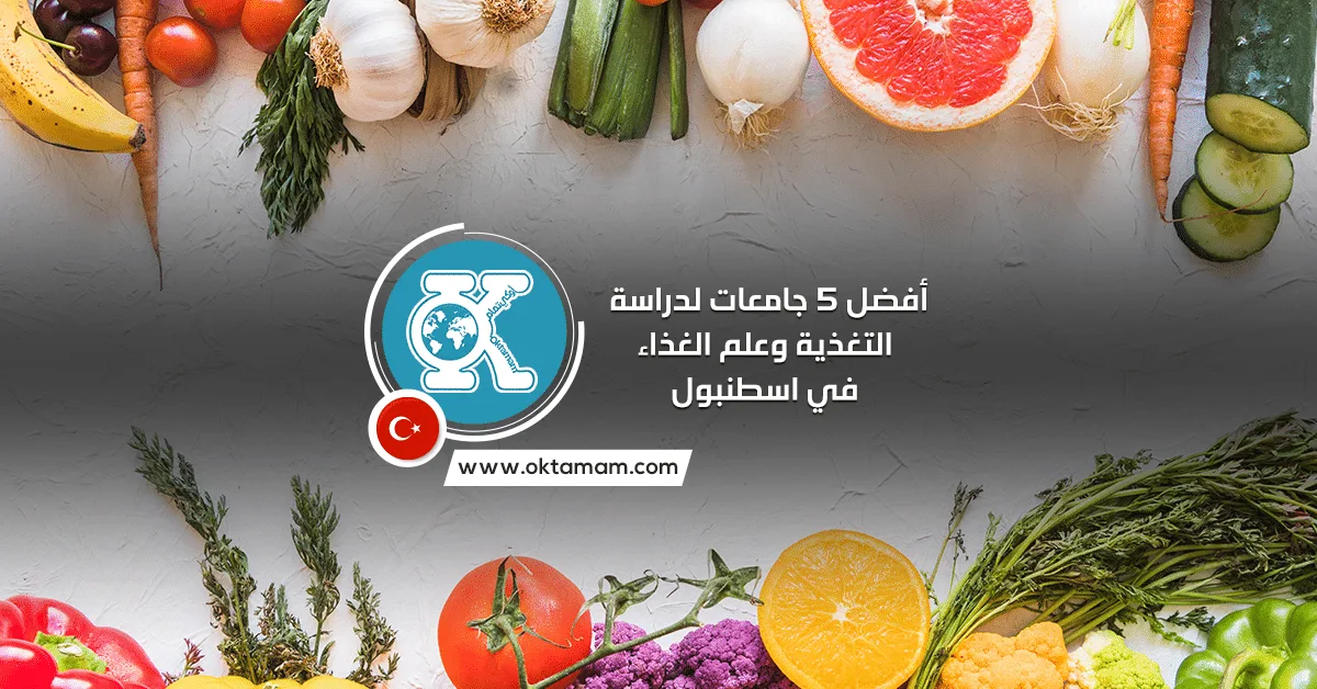 أفضل 5 جامعات لدراسة التغذية وعلم الغذاء في اسطنبول باللغة التركية والإنجليزية