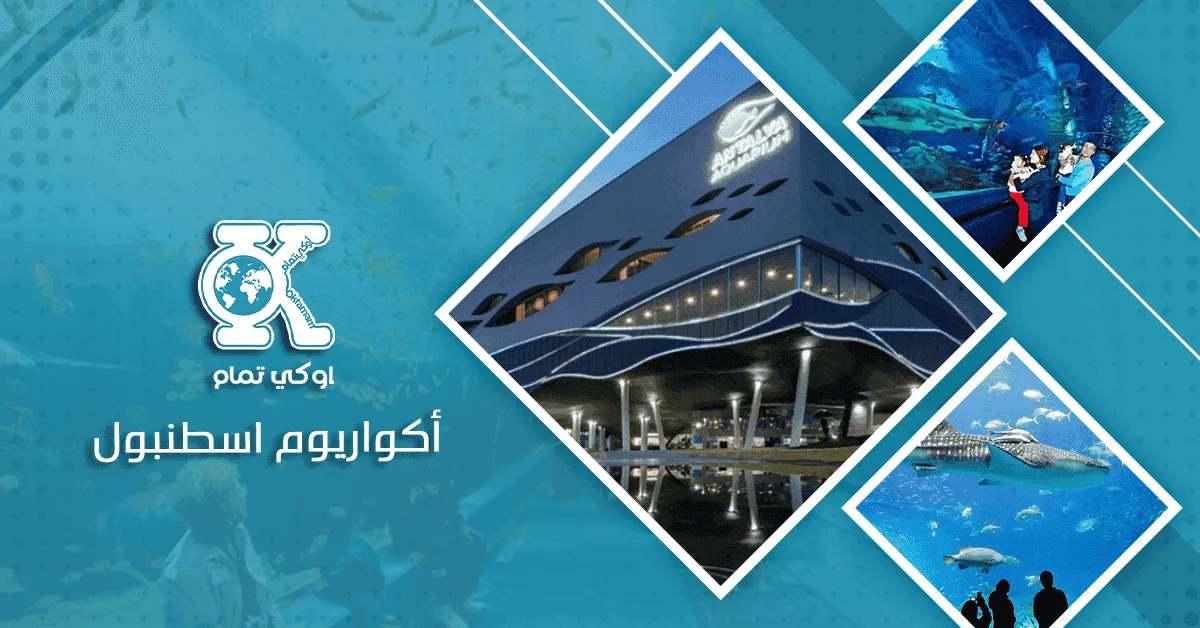 أكواريوم اسطنبول 5 مناطق سياحية في اسطنبول لابد من زيارتها