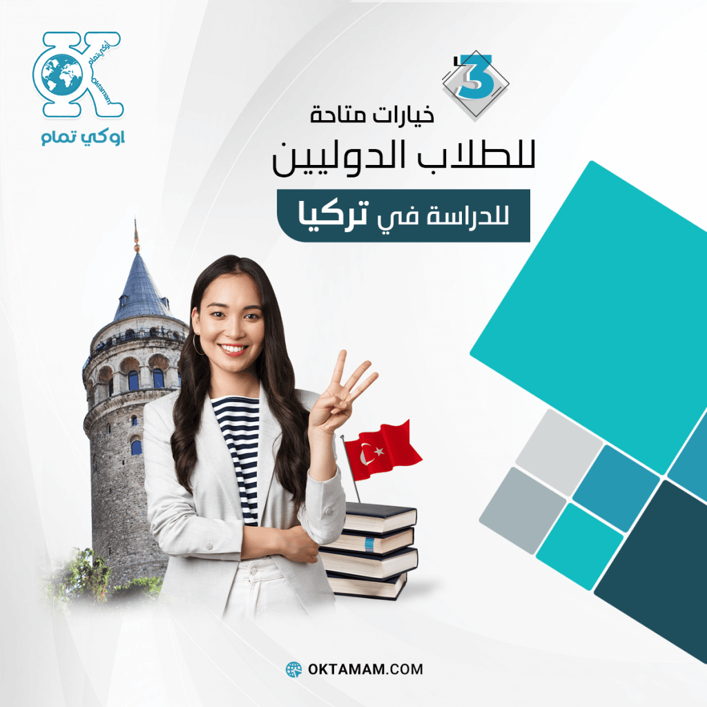 3 خيارات متاحة للطلاب الدوليين للدراسة في تركيا