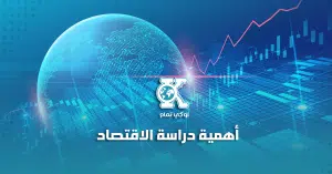 أهمية دراسة الاقتصاد