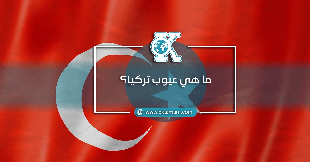 ما هي عيوب تركيا؟