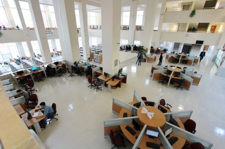 جامعة نيغدا