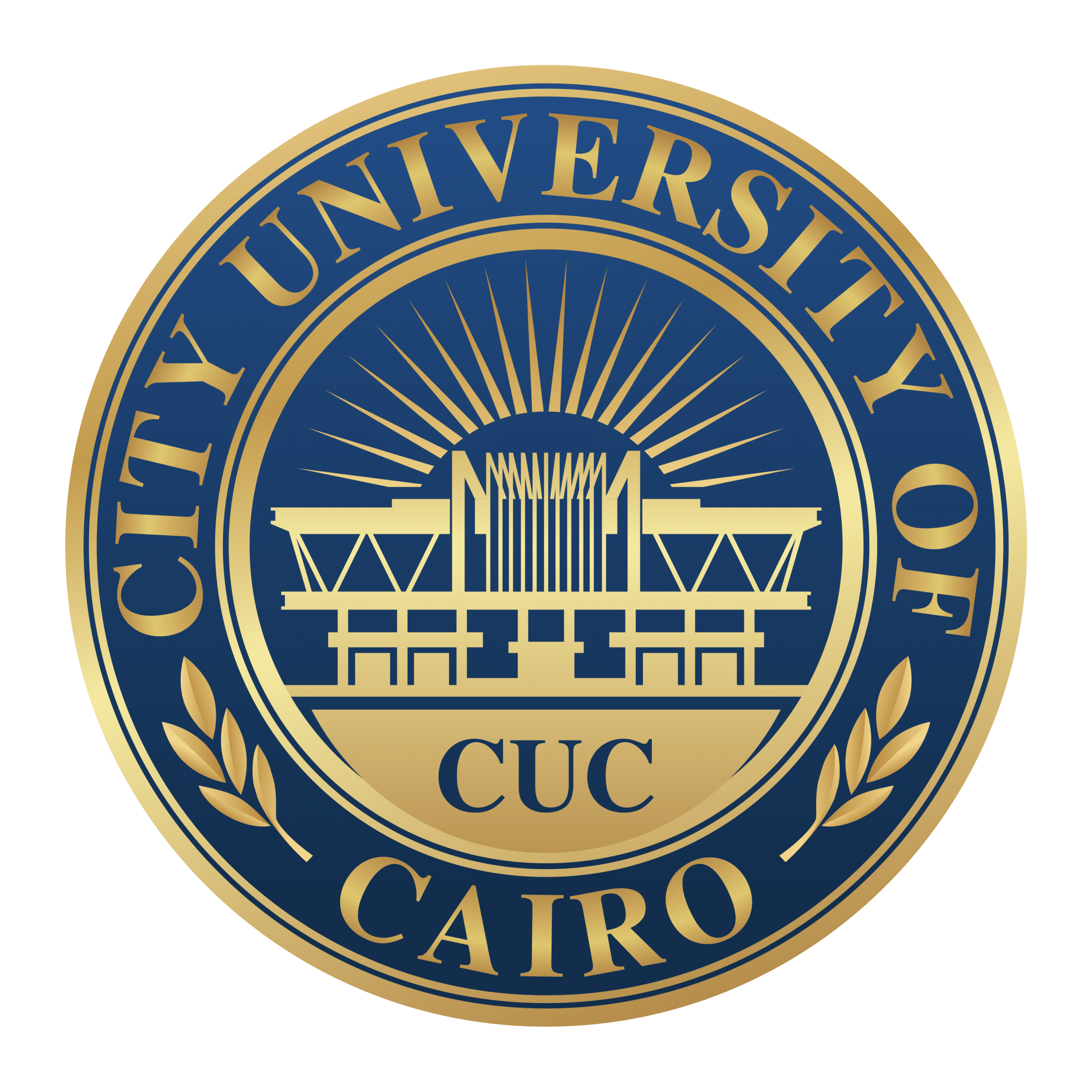 City University of Cairo