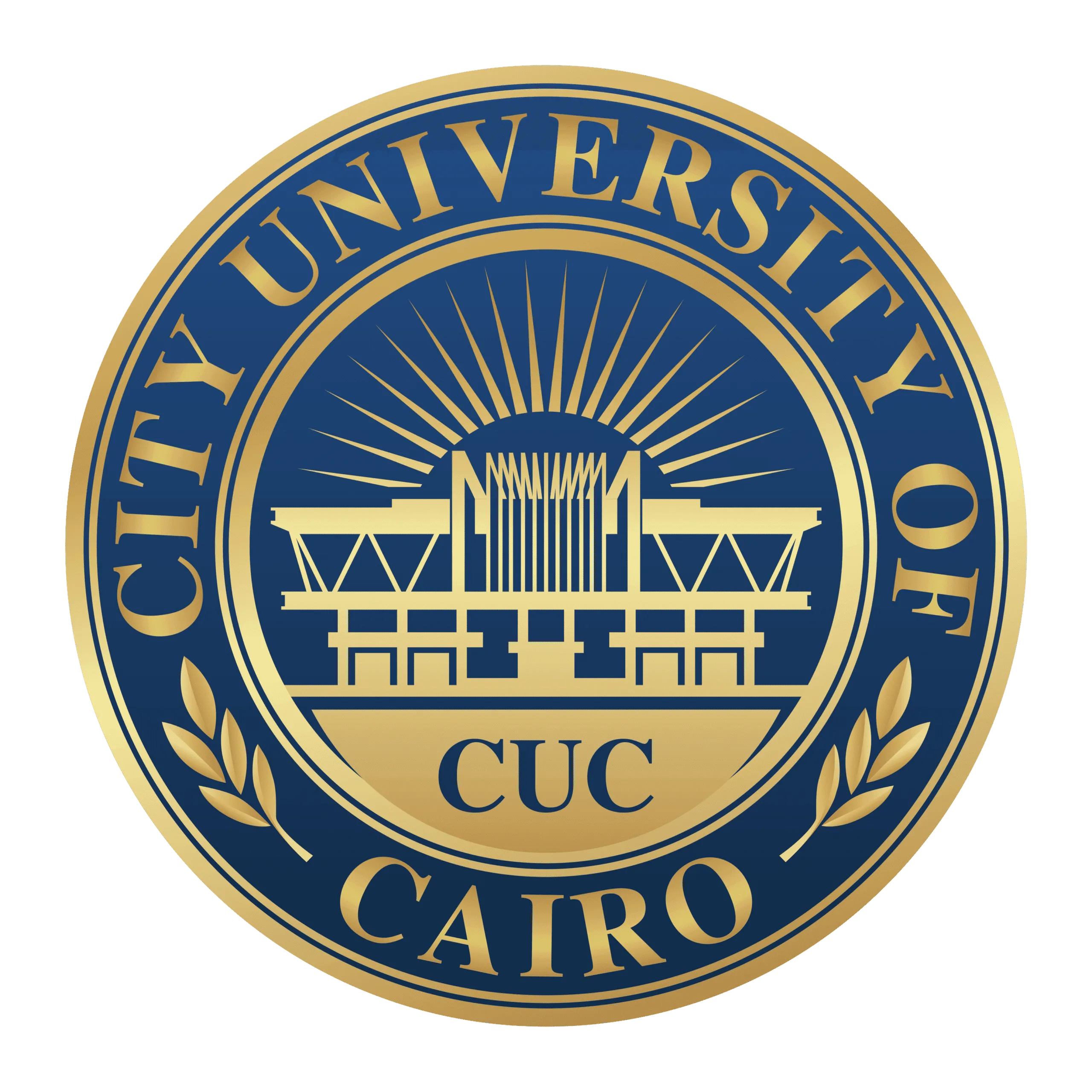 City University of Cairo