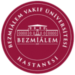 Bezmialem University