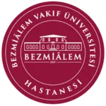 Bezmialem University