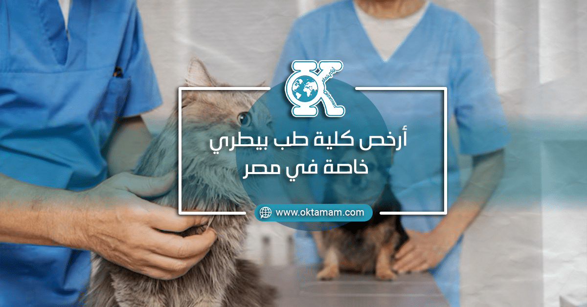 أرخص كلية طب بيطري خاصة في مصر